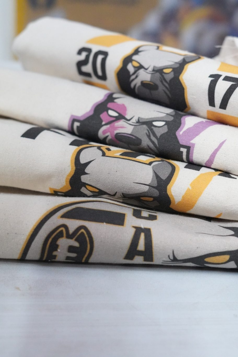 Sudaderas de Canes y She Canes Sudaderas de Canes y She Canes